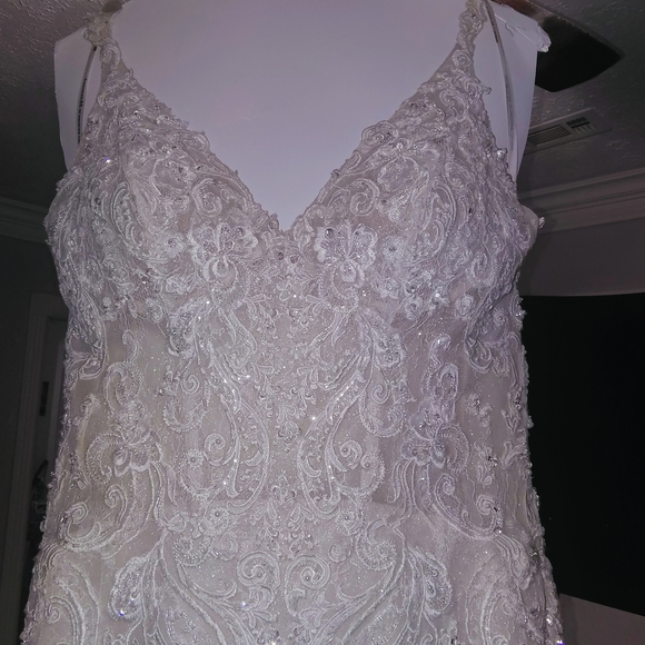 Elegant Cream Lace Wedding Dress - Picture 3 of 10
